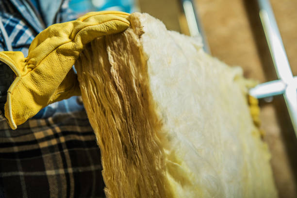 Best Insulation Repair Services  in Cleves, OH